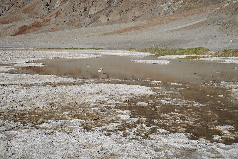 Water in the normally dry Badwater Basin.