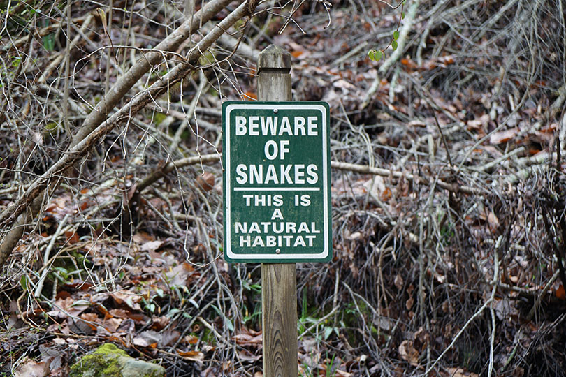 Beware of Snake Sign