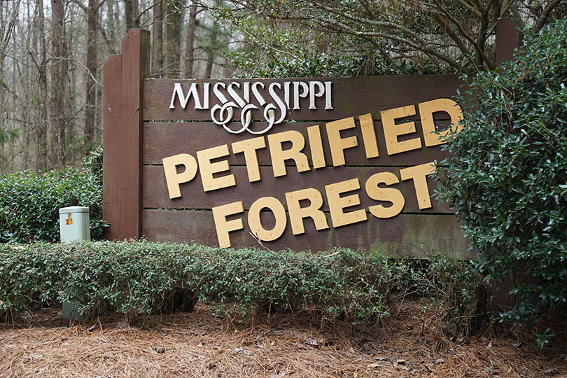 Mississippi Petrified Forest sign.