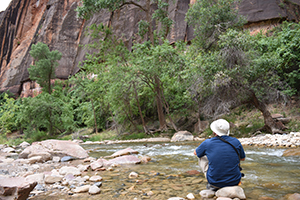 Ray sitting on a rock in the middle of the river at Zion National Park