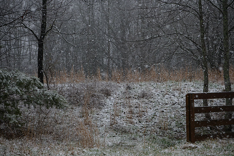 Snow-flakes falling heavy into a Georgia field.